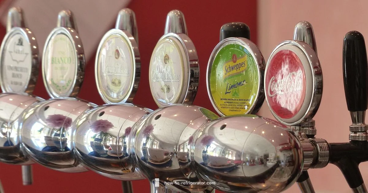 No Water Dispenser - How To Refrigerator