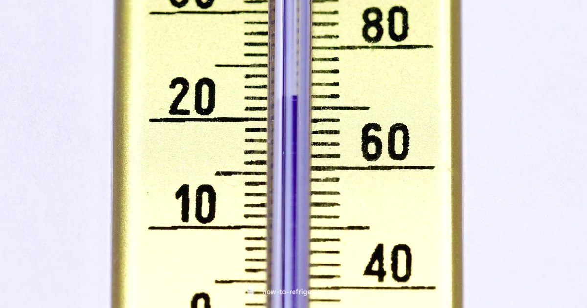 Optimal Fridge Temp - How To Refrigerator
