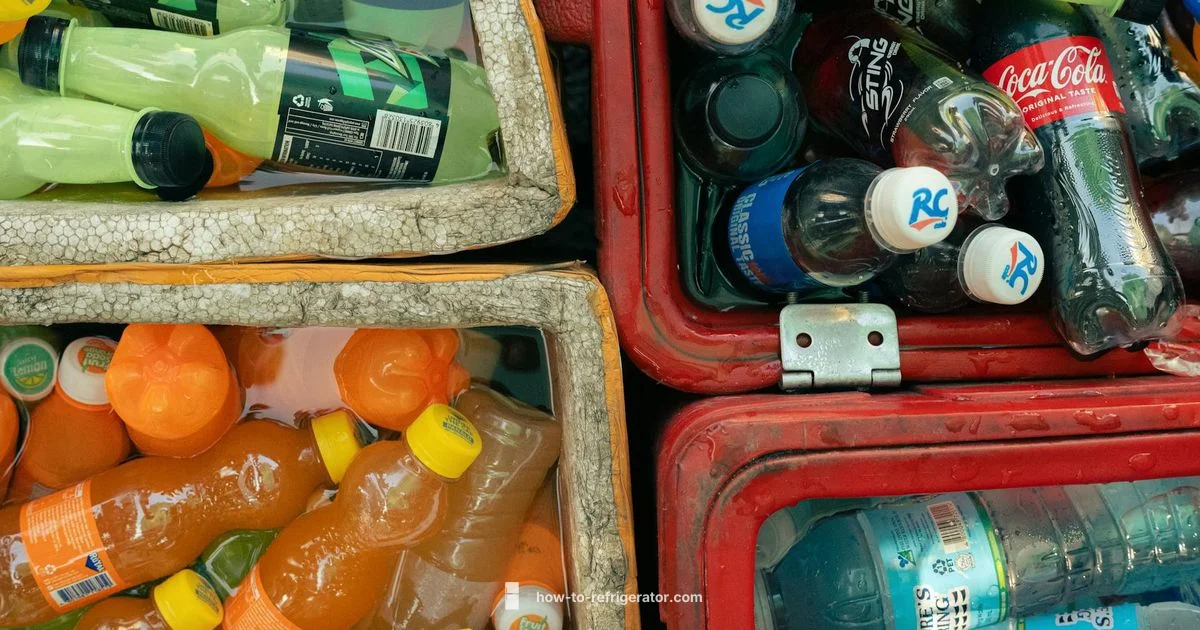 Compact Beverage Cooler - How To Refrigerator