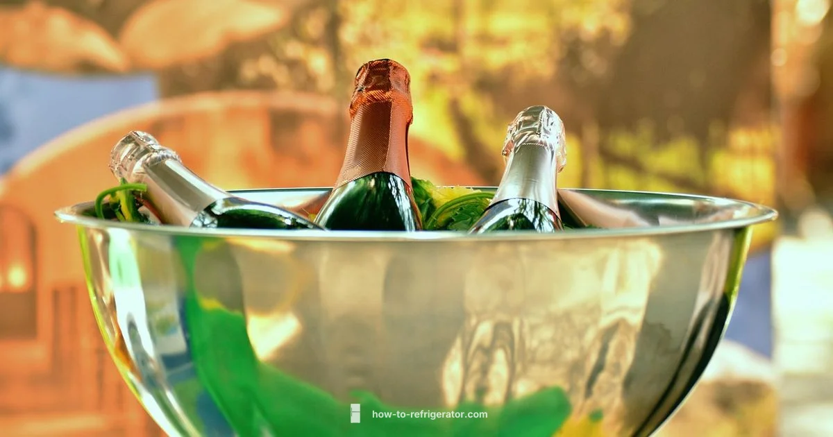 Under Counter Wine Cooler Guide - How To Refrigerator