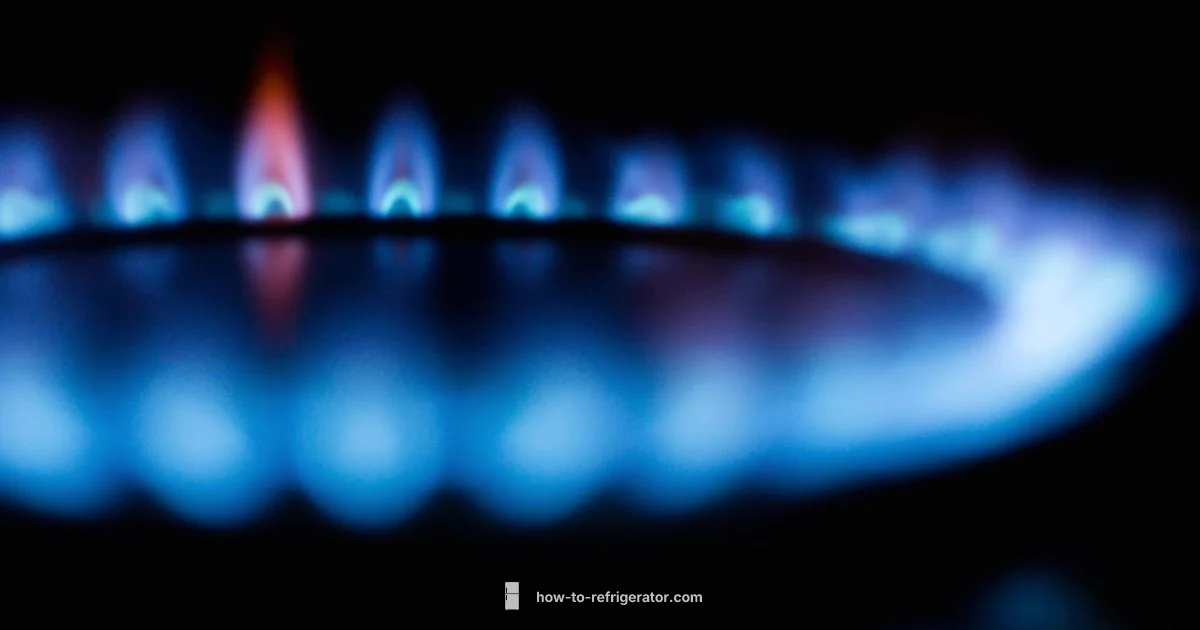 Gas Fridge Guide - How To Refrigerator