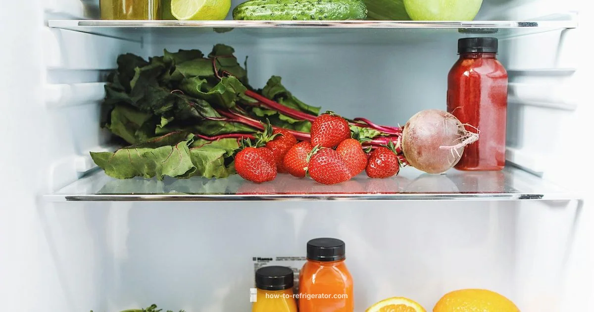 Fridge Repair Guide - How To Refrigerator