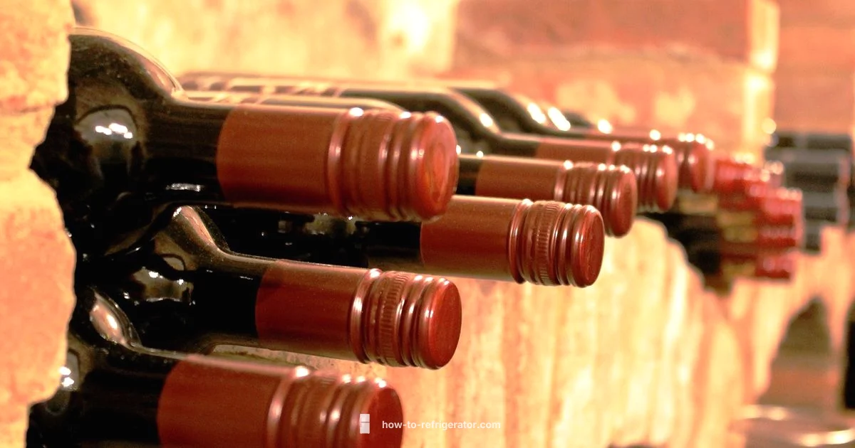 Red Wine Storage - How To Refrigerator