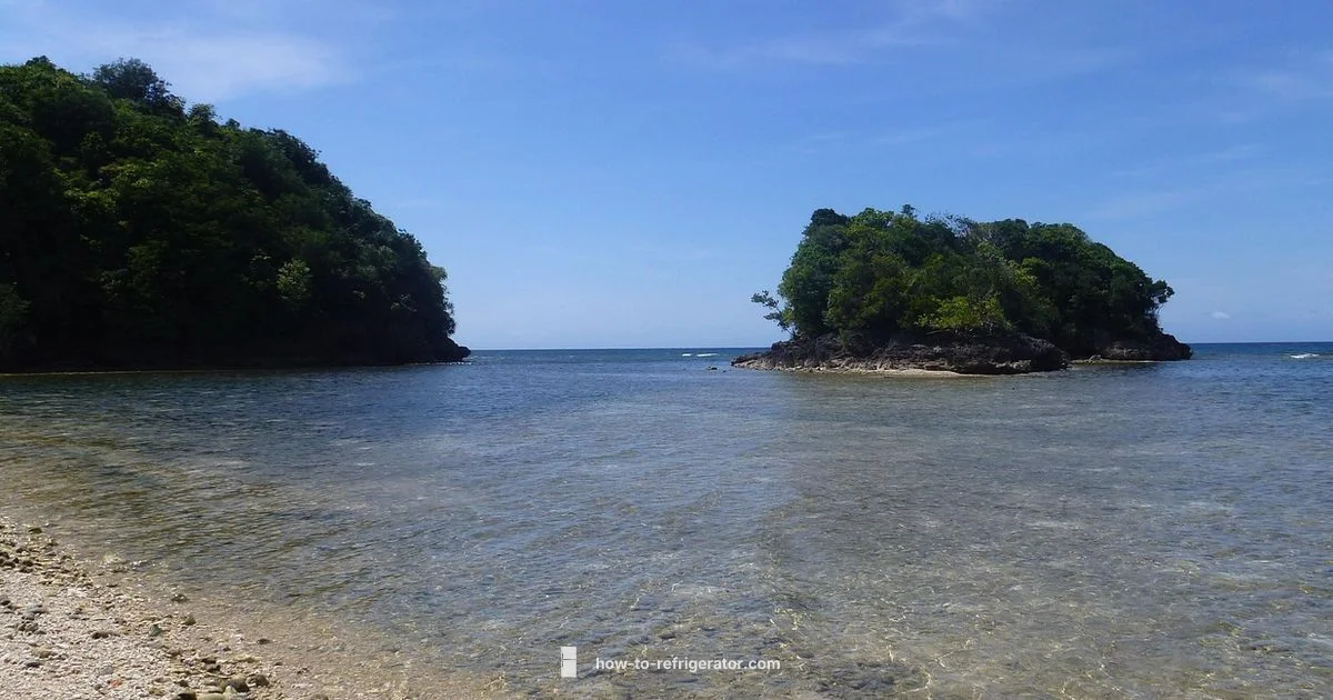 Budget Fridges PH Budget Fridges PH - How To Refrigerator