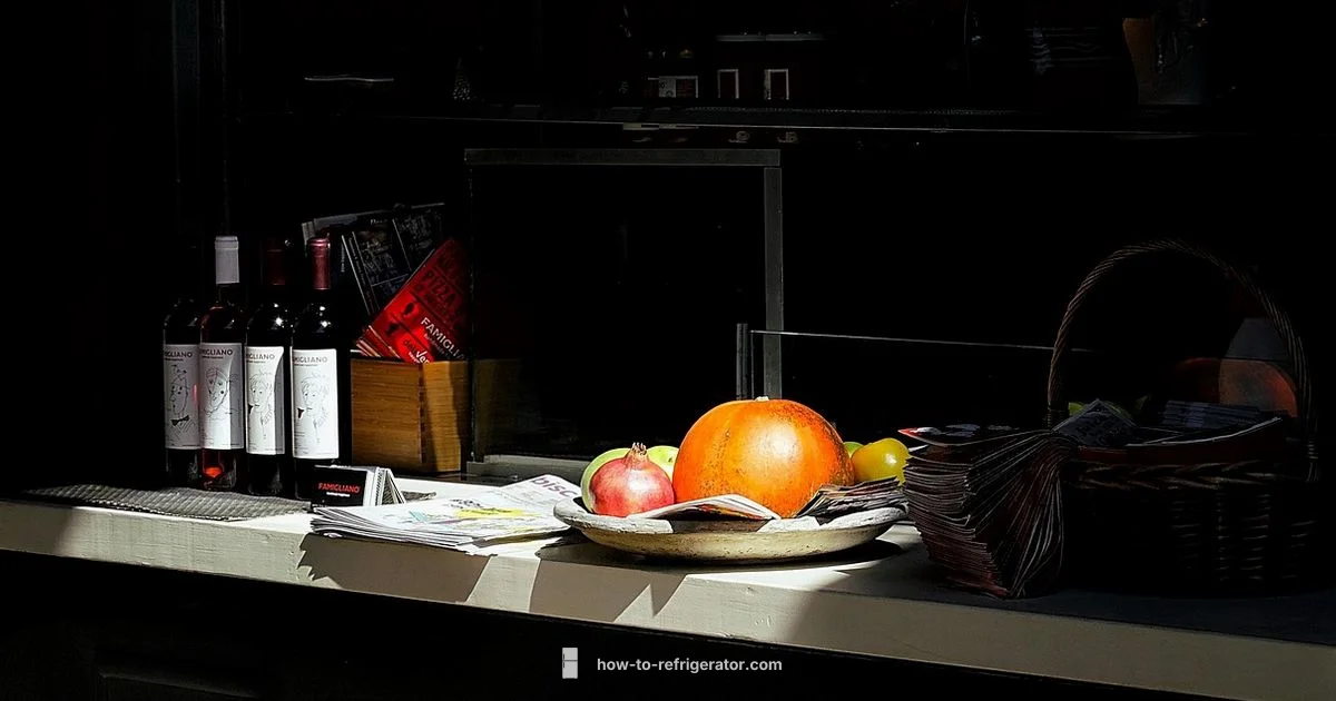 Wine Fridge Guide - How To Refrigerator