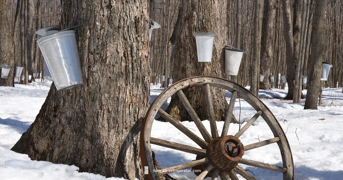 Maple Syrup Storage - How To Refrigerator