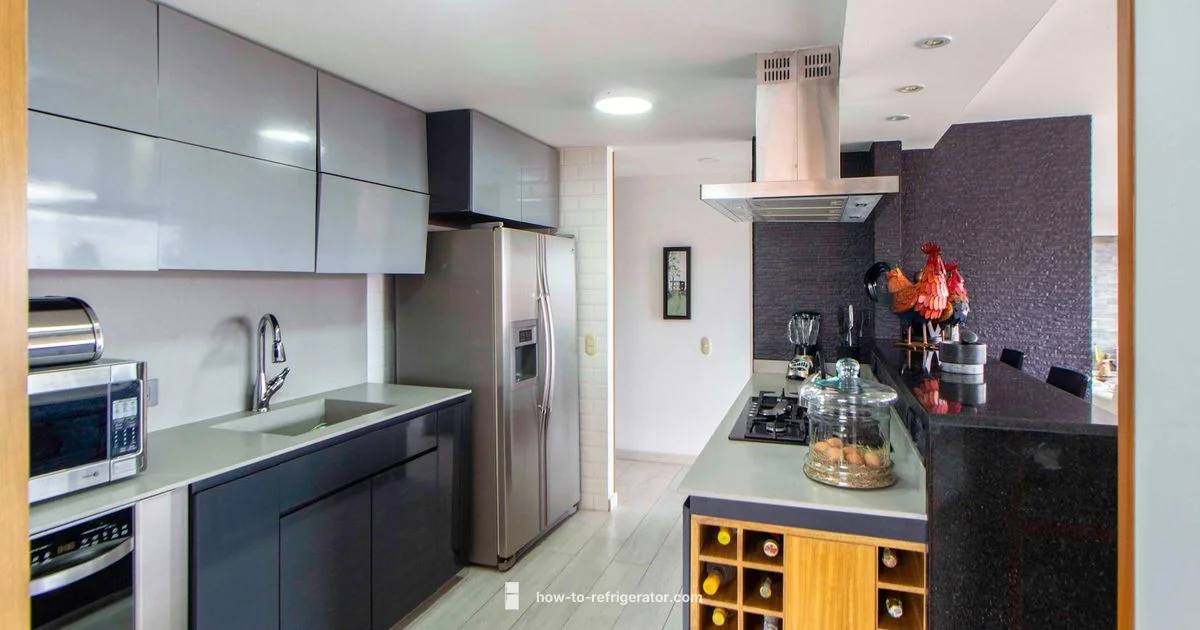 Vissani Refrigerator Guide - How To Refrigerator