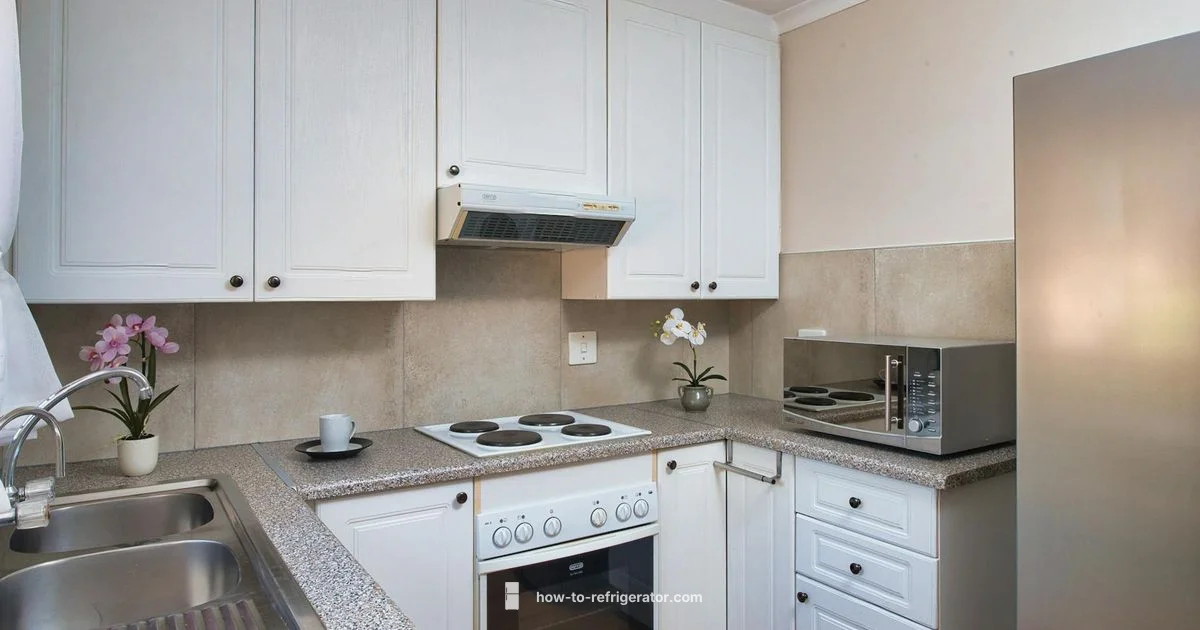 Mini Fridge Guide - How To Refrigerator