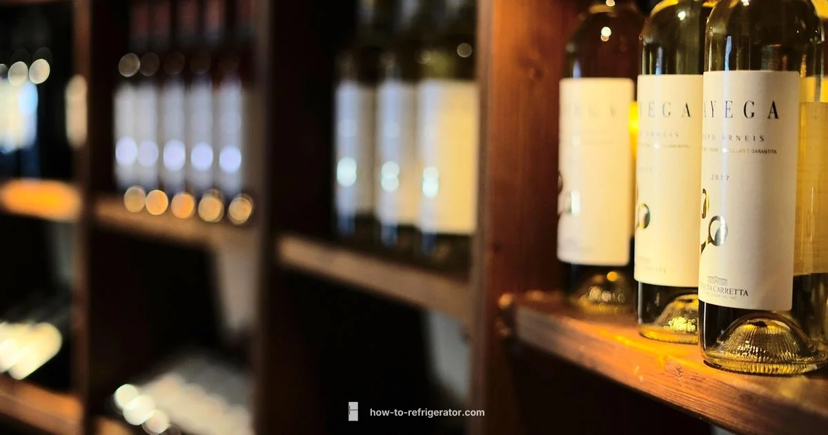 Under-Counter Wine Fridge - How To Refrigerator