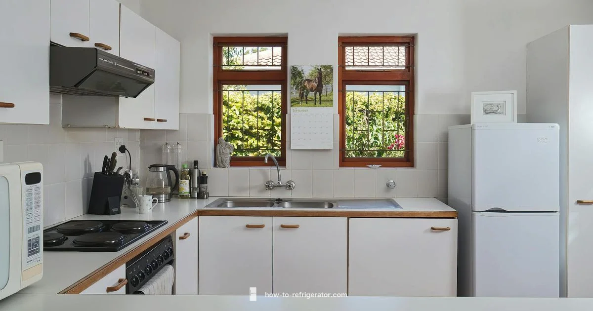 White Fridge Options - How To Refrigerator