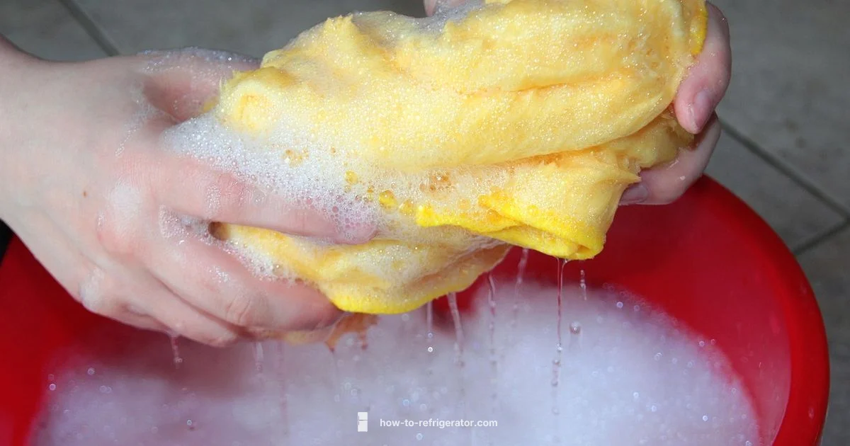 Fridge Clean Guide Fridge Clean Guide - How To Refrigerator