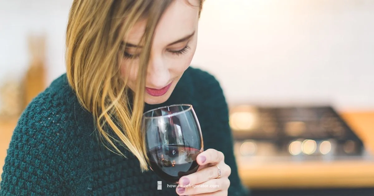 Best Buy Wine Fridge - How To Refrigerator