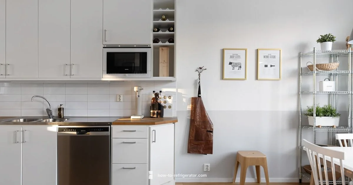 Budget Fridge Buying - How To Refrigerator