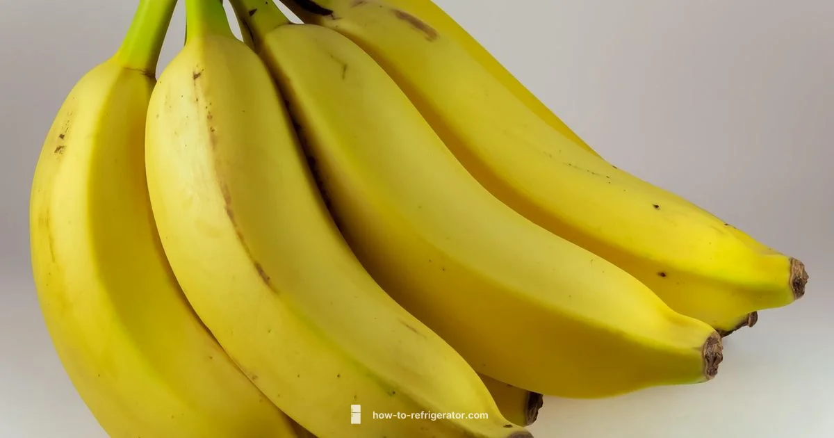 Banana Fridge Guide - How To Refrigerator