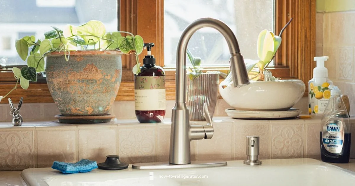 Refrigerator Filter Replacement - How To Refrigerator