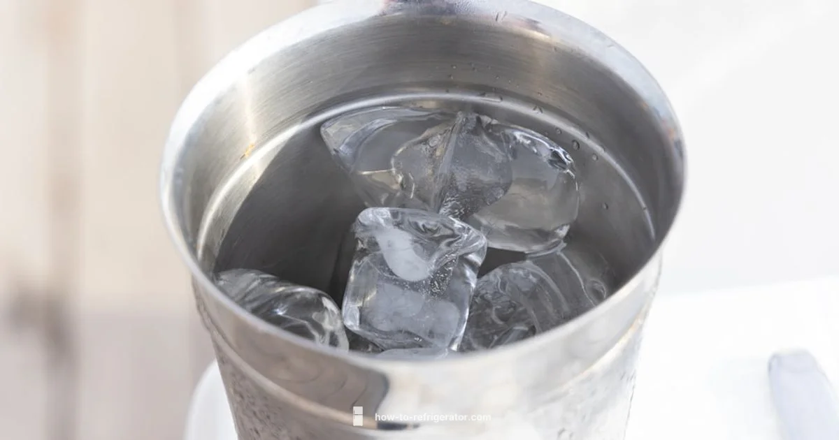 Nugget Ice Fridge - How To Refrigerator