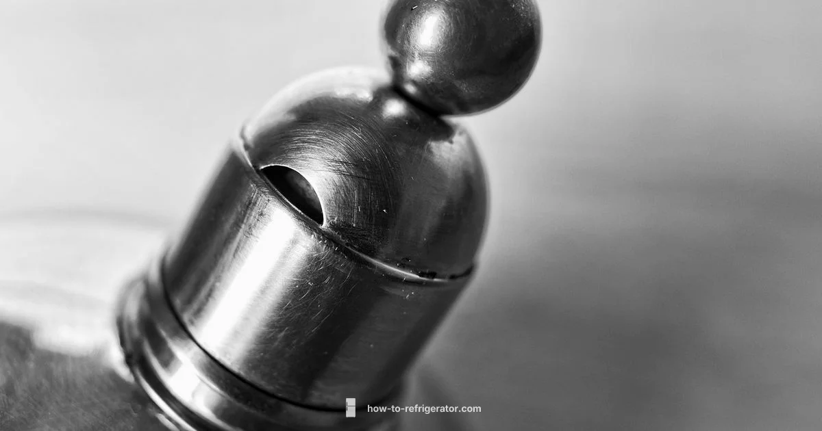 Fridge Cost Guide - How To Refrigerator