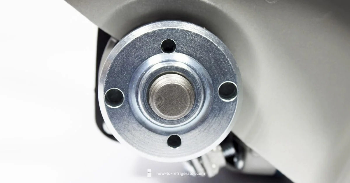 Fridge Parts Replacement - How To Refrigerator