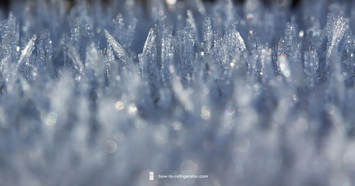 Defrost Guide - How To Refrigerator