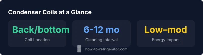 Illustration showing condenser coils located at back or bottom of refrigerator