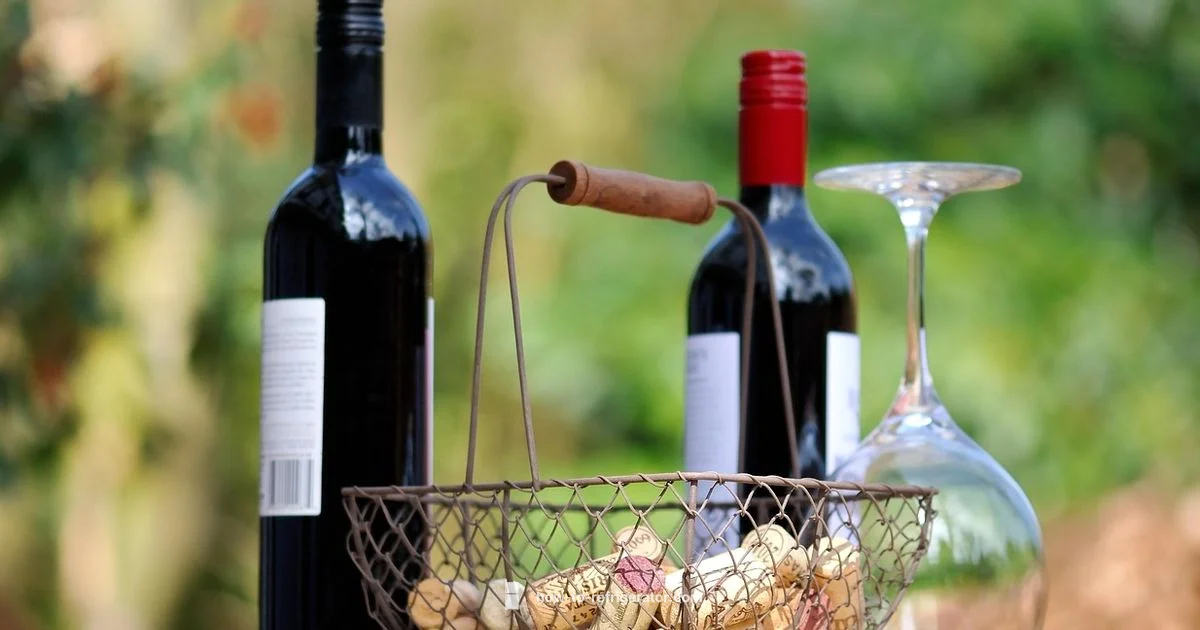 Wine Cooler Guide - How To Refrigerator