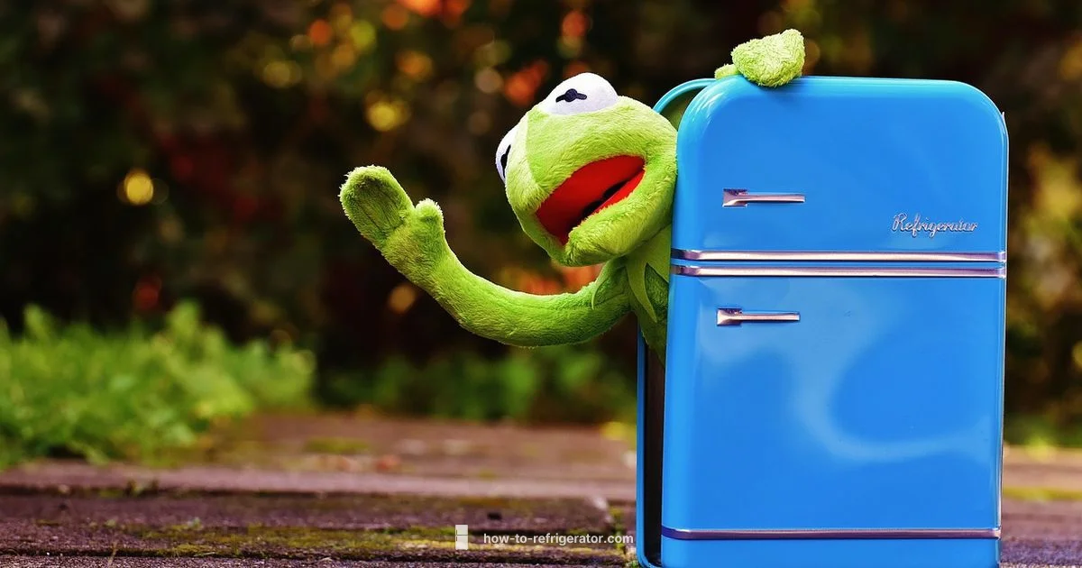 Fridge Temp Guide - How To Refrigerator