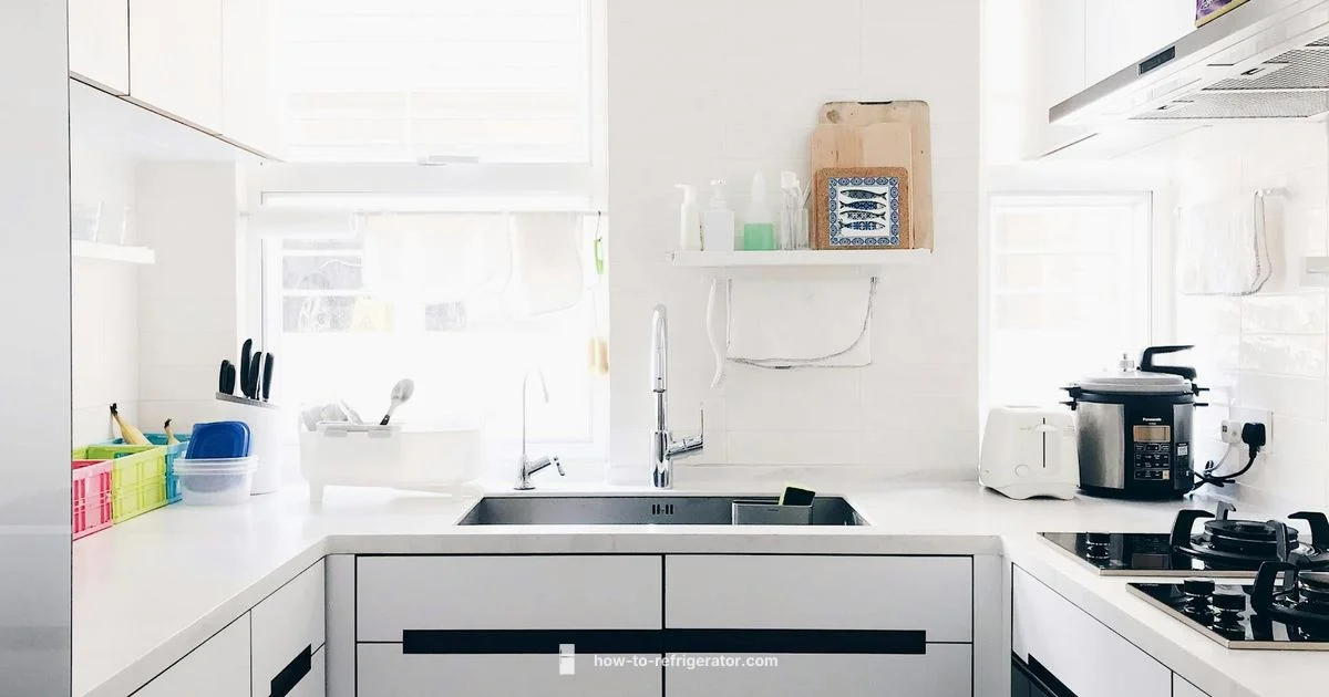 Hisense Mini Fridge Guide - How To Refrigerator