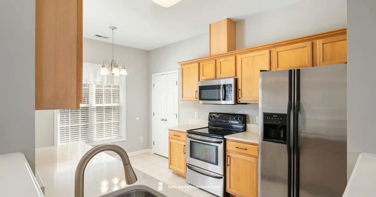 Samsung Fridge Repair - How To Refrigerator