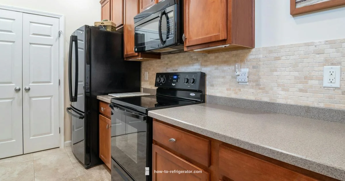 Vissani Brand Overview Vissani Brand Overview - How To Refrigerator