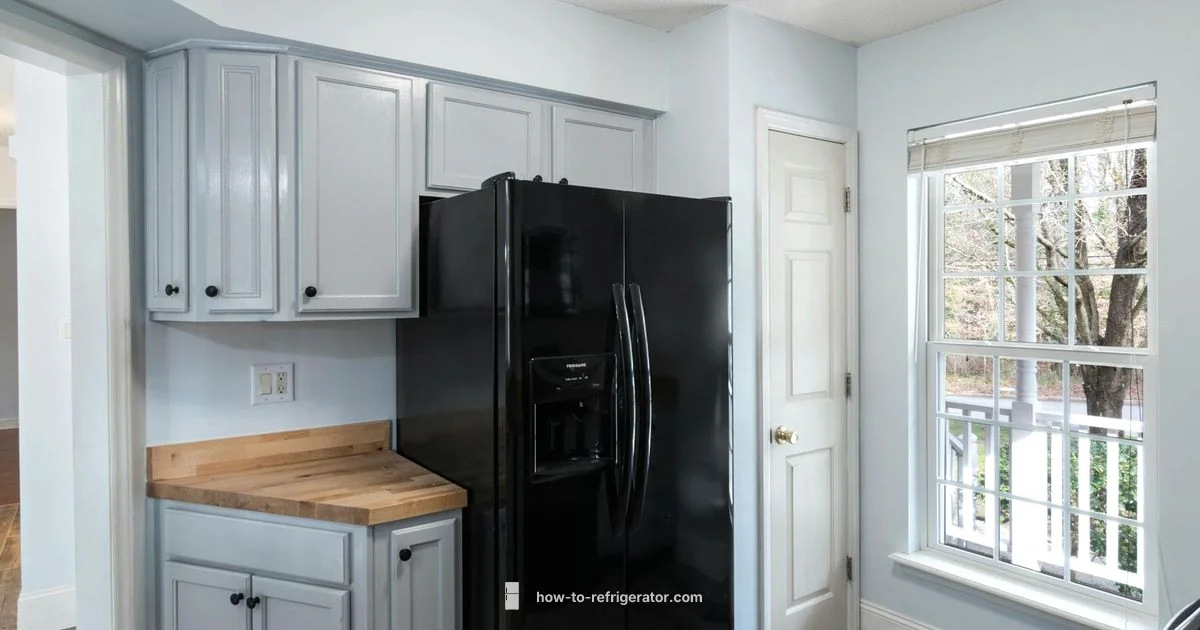 Top Refrigerator Picks - How To Refrigerator