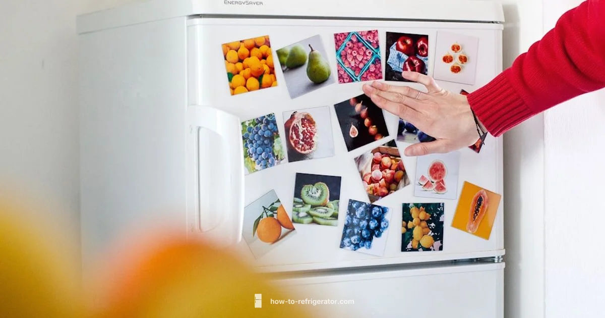 Refrigerator Repair - How To Refrigerator