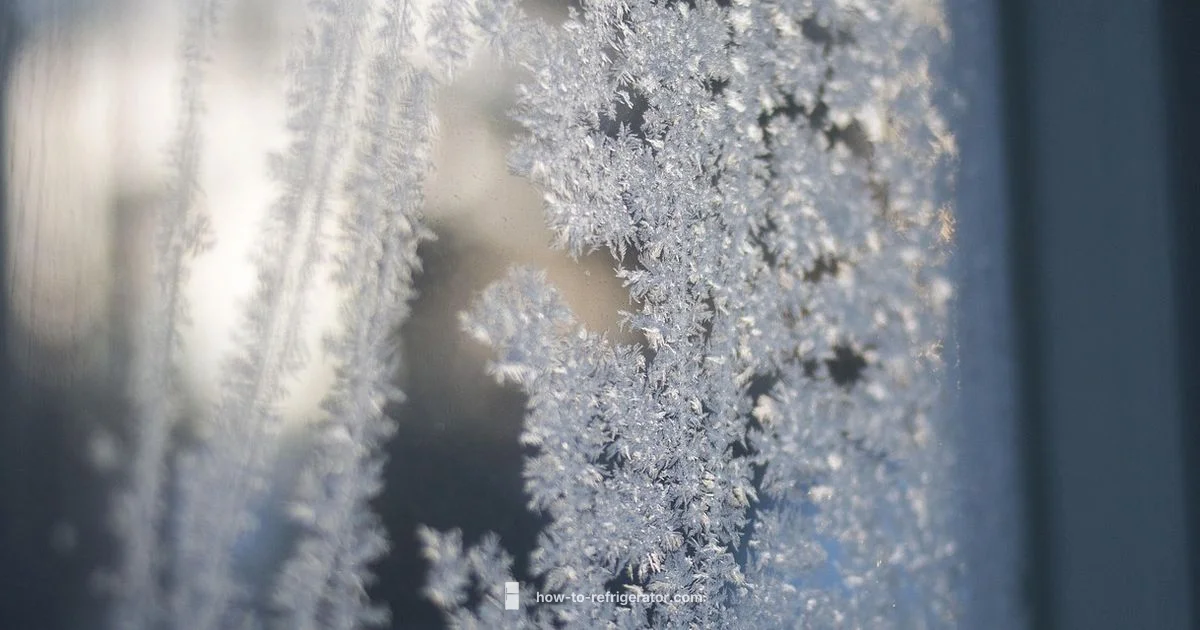 Defrosting Guide for Fridges - How To Refrigerator