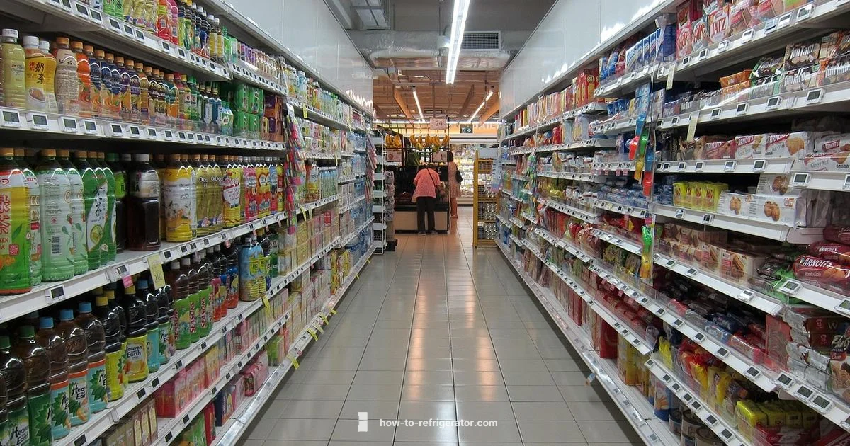 Display Freezer Guide - How To Refrigerator