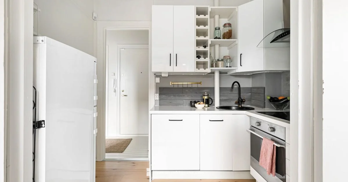 Safer Fridge Picks - How To Refrigerator