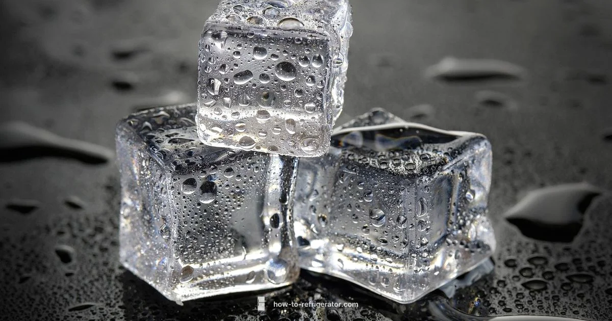 Ice Maker Maintenance - How To Refrigerator