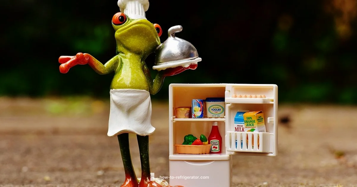 Refrigerator Repair Guide - How To Refrigerator