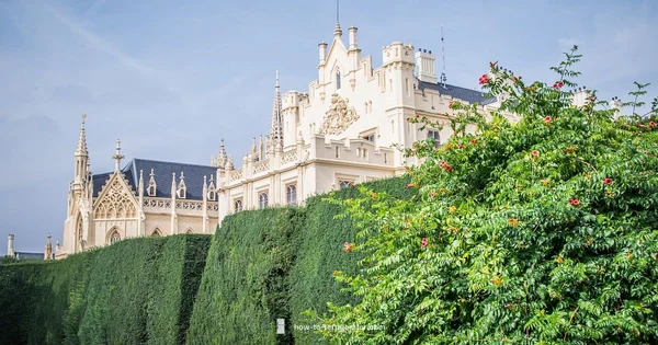 Fridge Popularity Timeline - How To Refrigerator