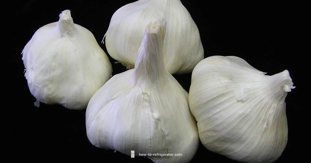 Black Counter Depth Fridge - How To Refrigerator