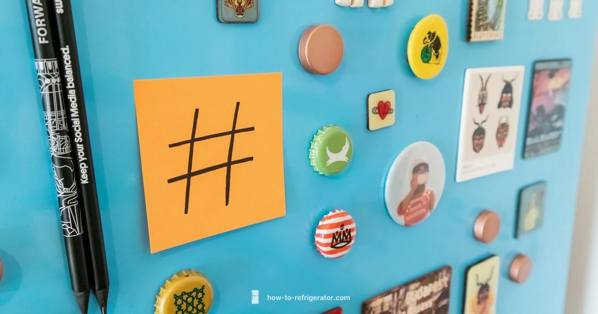 Fridge Gasket Guide Fridge Gasket Guide - How To Refrigerator