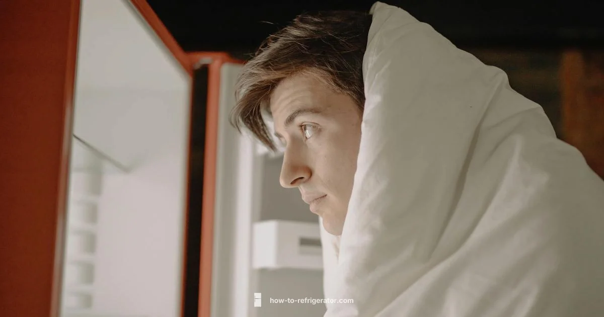 Fridge Adoption Timeline - How To Refrigerator