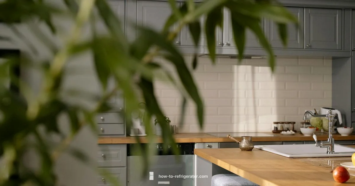 Under-Counter Fridge - How To Refrigerator