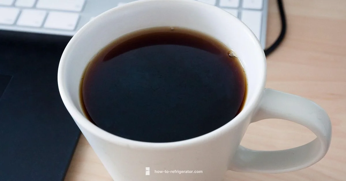 Compact Office Fridge - How To Refrigerator