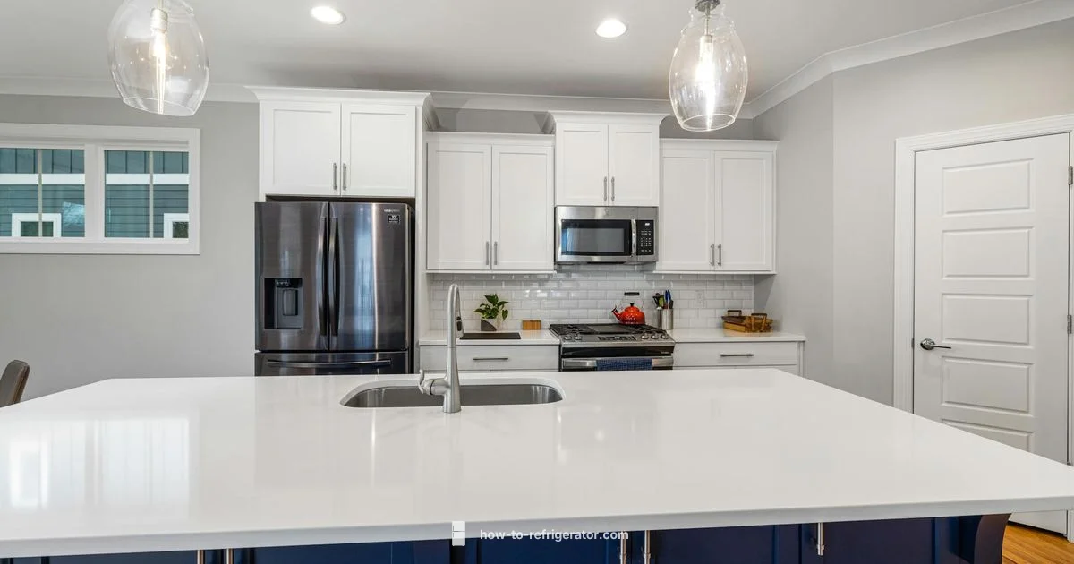 Fridge Troubleshoot - How To Refrigerator