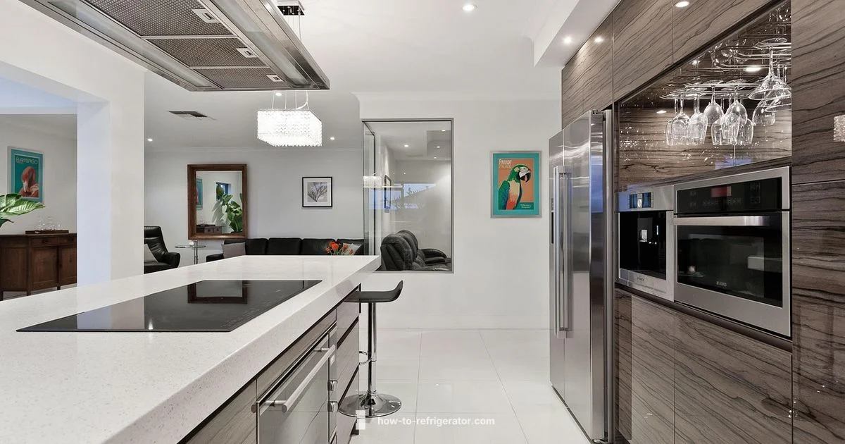 Samsung Refrigerator Review - How To Refrigerator