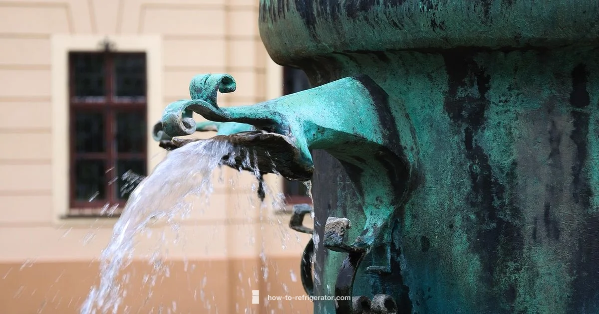 Water Dispenser Basics - How To Refrigerator