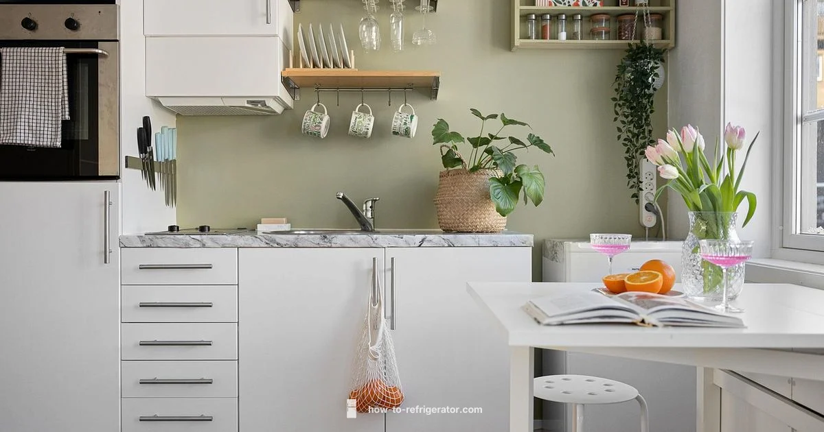 Empty Fridge Guide - How To Refrigerator