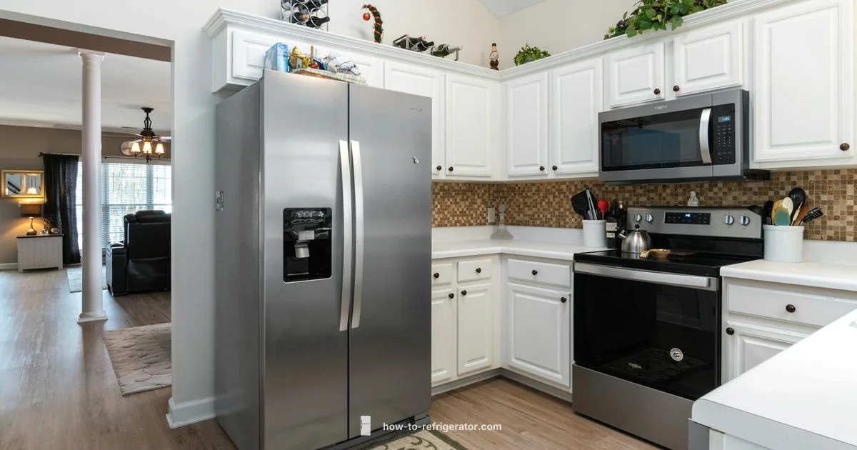 Side by Side Refrigerator - How To Refrigerator