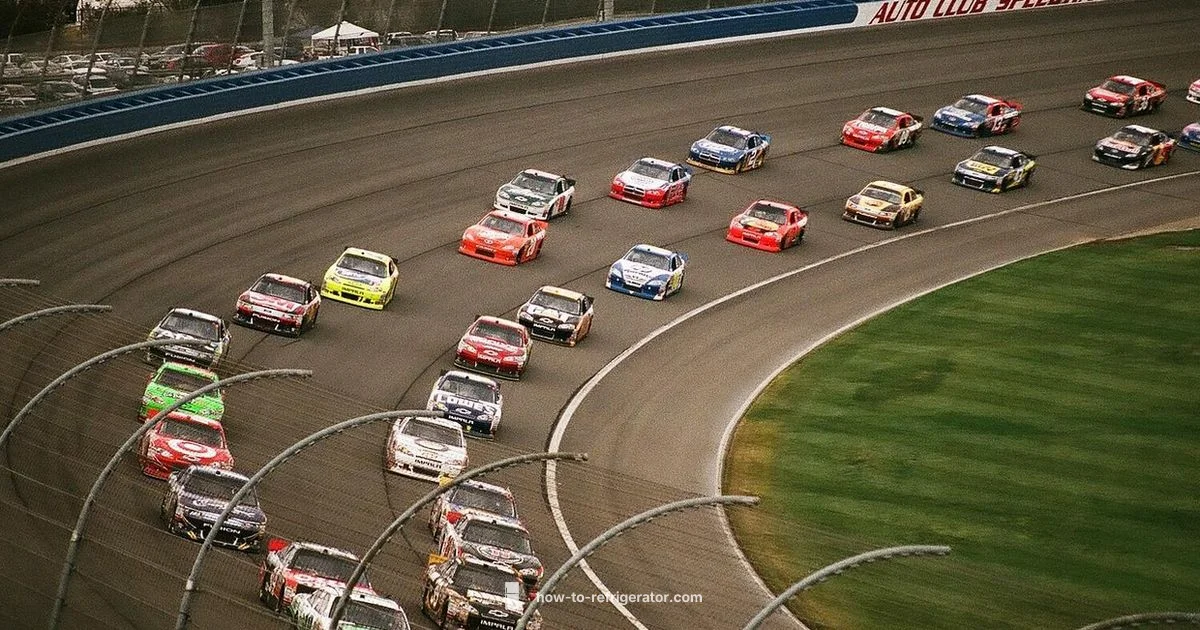 Car Fridge Spotlight Car Fridge Spotlight - How To Refrigerator