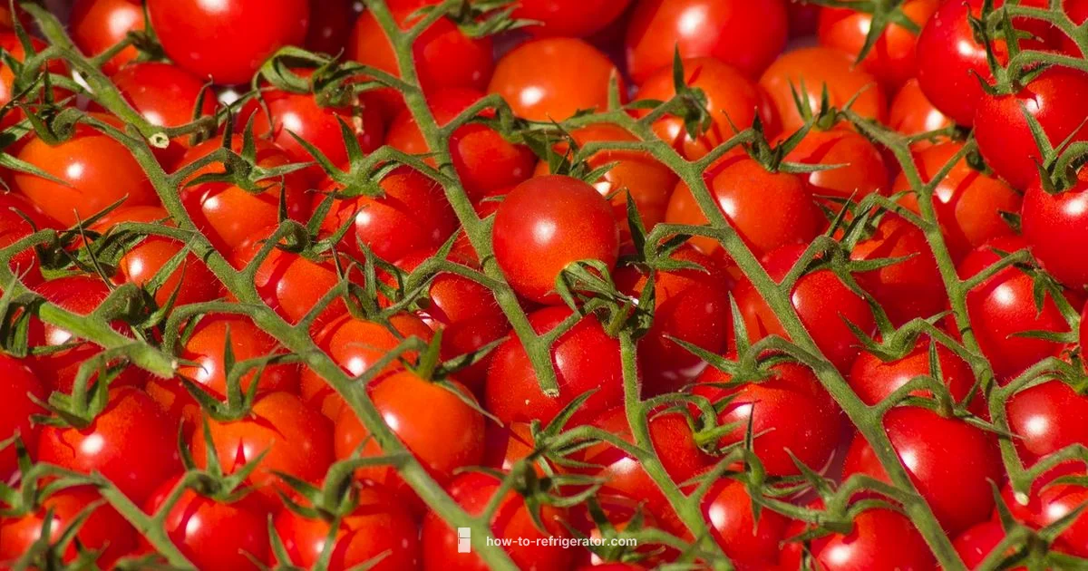 Tomato Fridge Guide - How To Refrigerator