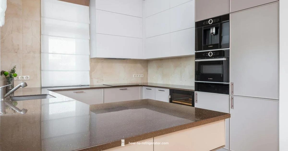 Bosch Counter-Depth Guide Bosch Counter-Depth Guide - How To Refrigerator